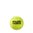 Tennisbälle Wilson Roland Garros Official 4er Dose
